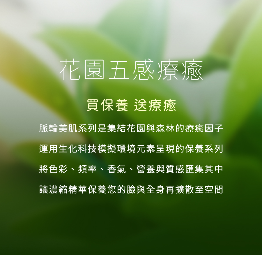 雅聞脈輪活力前導水精華