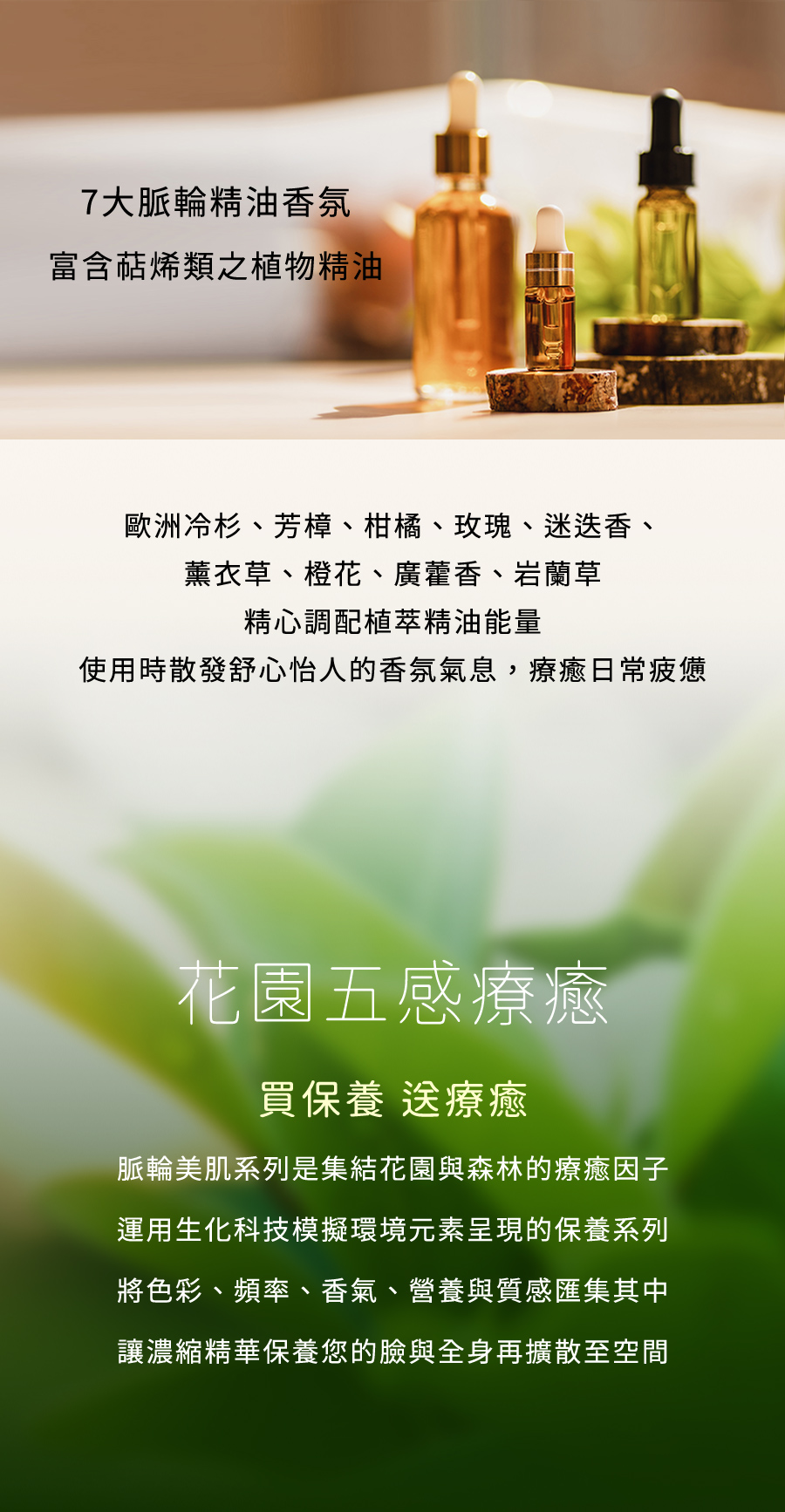 雅聞脈輪全效膜賦乳霜